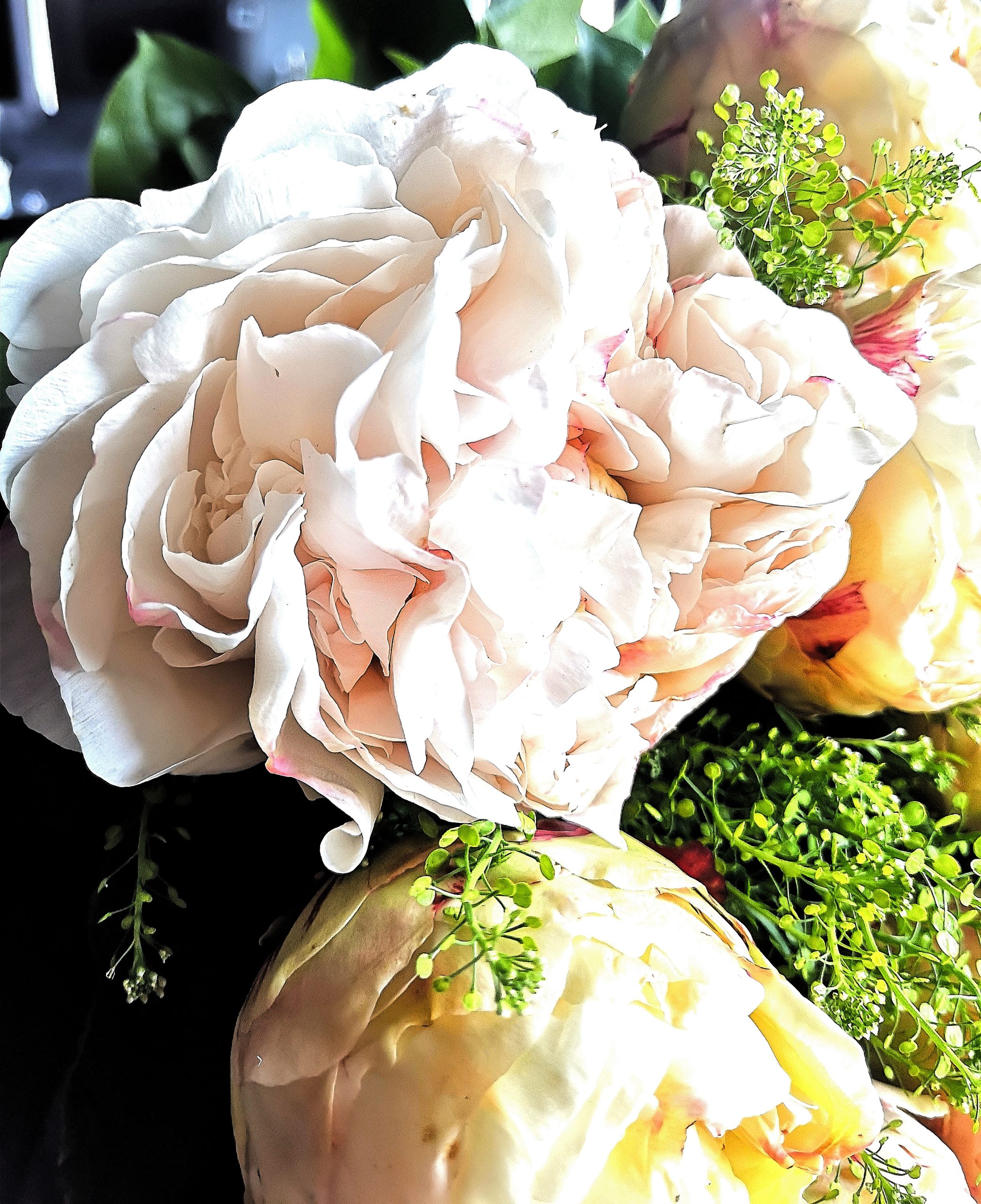 Quelle est votre fleur préférée… la pivoine ?