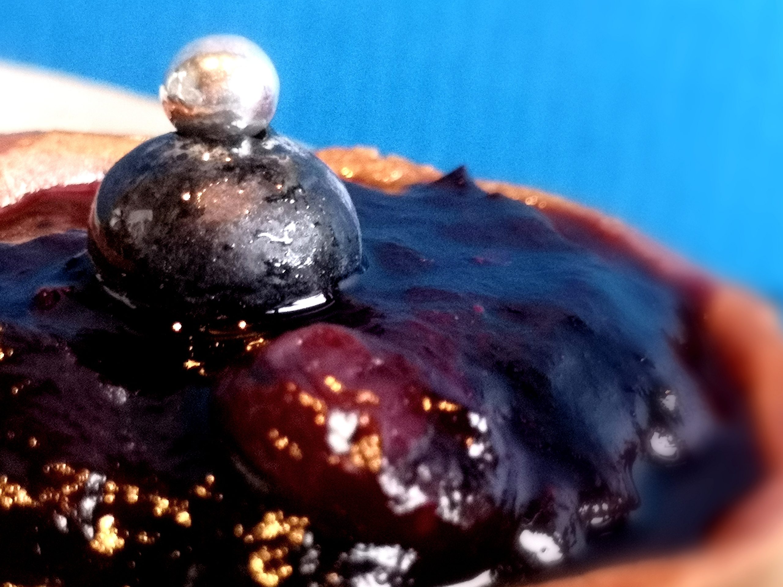 Sublime tartelette aux myrtilles